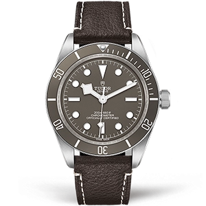 Копия часов Tudor Heritage Black Bay 39mm M79010SG-0001