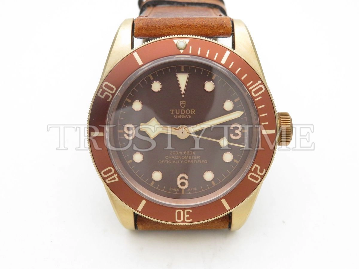 Копия часов Tudor Heritage Black Bay Bronzo 43mm M79250BM-0005
