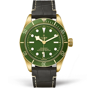 Копия часов Tudor Heritage Black Bay 39mm M79018V-0001