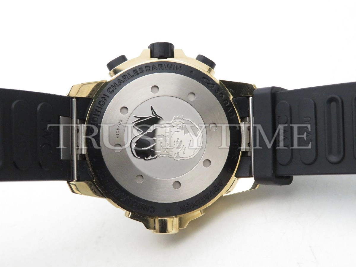 Копия часов IWC Aquatimer Chronograph Bronzo 44mm IW379503