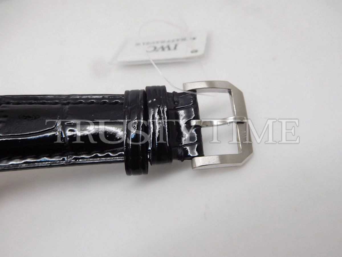 Копия часов IWC Ingenieur Vintage Laureus 42mm IW323301